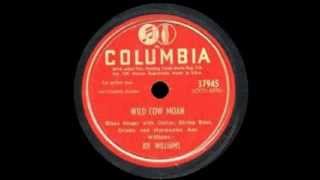 Big Joe Williams - Wild Cow Moan