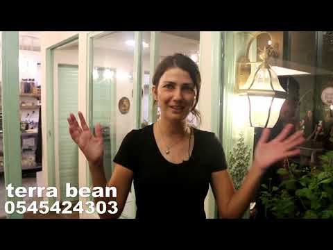 Terra Bean בית קפה בג'ול