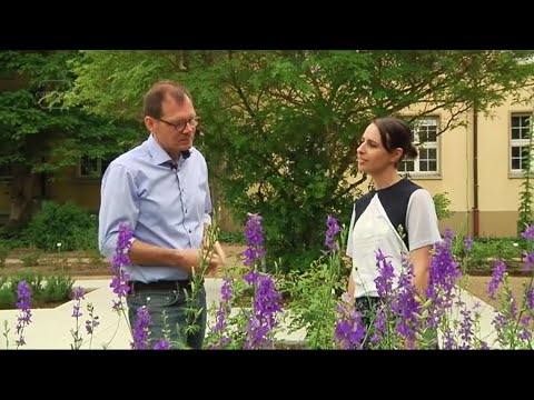 CampusTV Mainz 226 - Garten der Gesundheit