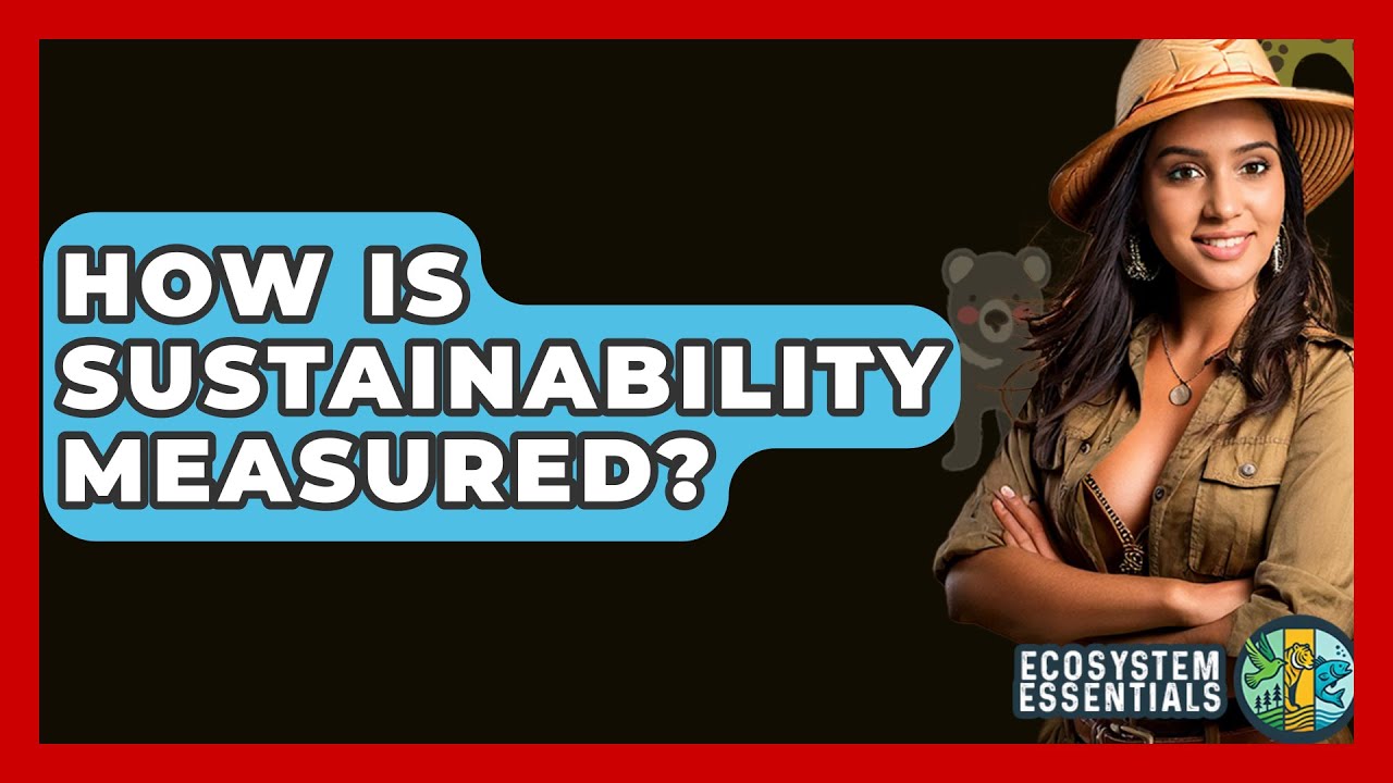 How Is Sustainability Measured? - Ecosystem Essentials