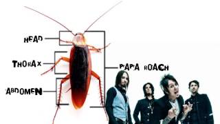Papa Roach - I Almost Told You I Love You HQ