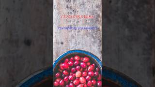 Why Cranberries are a Superfood | Health Benefits Unveiled #cranberries #healthy #remedyscience