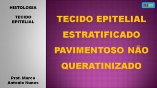 Tecido Epitelial Estratificado Pavimentoso Não Queratinizado