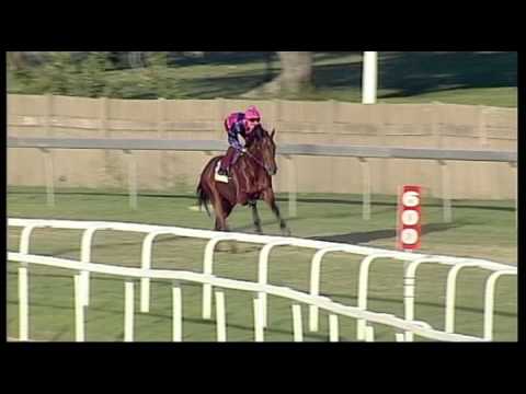 Greyville 26062014 July Gallop : Legislate