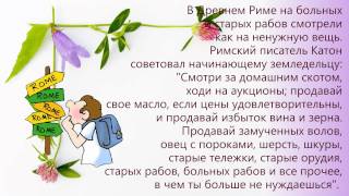 Влияние христианства в мире