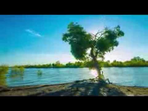 Amostra Sobrinho - Wai Mussiro