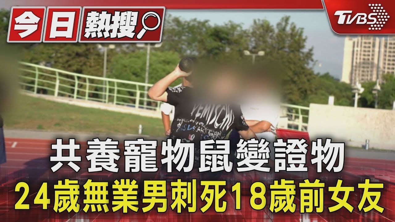 24歲無業男刺死18歲前女友 共養寵物鼠變證物　