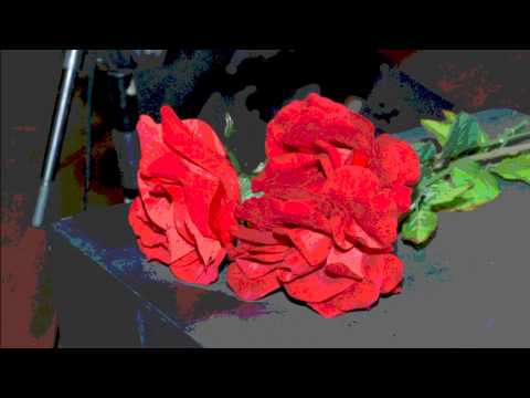 Rhosammaria - Nostalgias