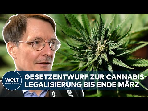 CANNABIS-LEGALISIERUNG - LAUTERBACH: "Es muss ja etwas passieren" - Gesetzentwurf bis Ende März