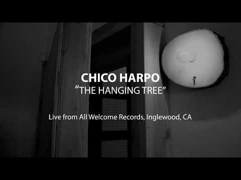 The Hanging Tree - Live from All Welcome Records in Inglewood, CA