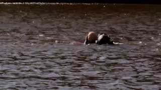 Into the Deep | Brandweer Twente