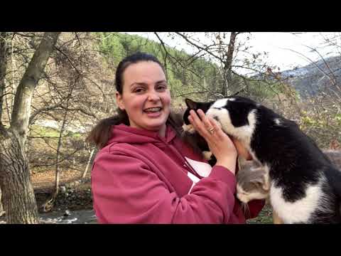 Cistična fibroza // Moje iskustvo iz prve trudnoće // Koliko genetika utiče na naš život?