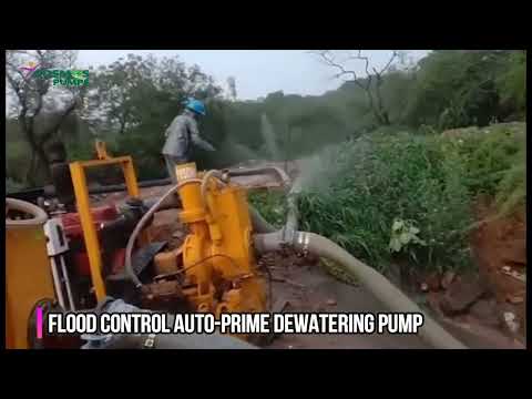 Dewatering pump rental services