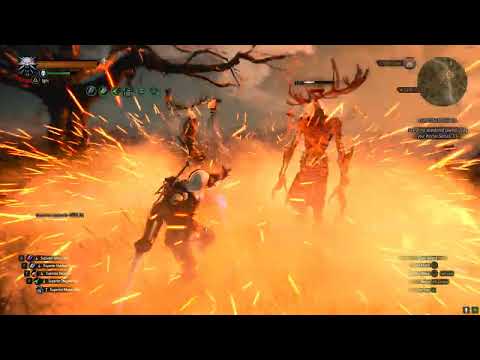 Witcher 3 Griffin Sign Build