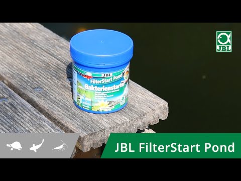 Starten Sie Ihren Teichfilter biologisch mit lebenden Reinigungsbakterien - JBL FilterStart Pond
