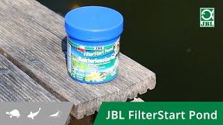Starten Sie Ihren Teichfilter biologisch mit lebenden Reinigungsbakterien - JBL FilterStart Pond