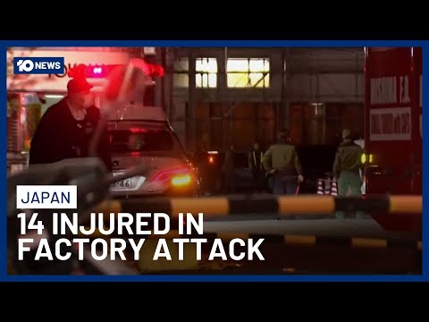 14 Injured In Japan Factory Knife And Chemical Attack | 10 News