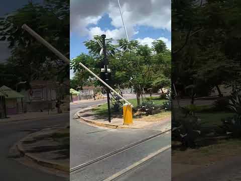 SOBRAL CEARÁ 🌻 INOCÊNCIA.