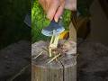 You NEED IT for survival in the wilderness #bushcraft #outdoors #camping