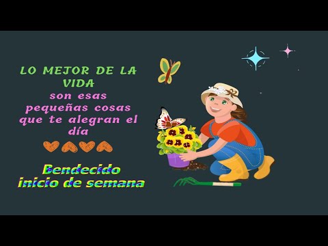 Hola buenos días. Feliz lunes y feliz inicio de semana