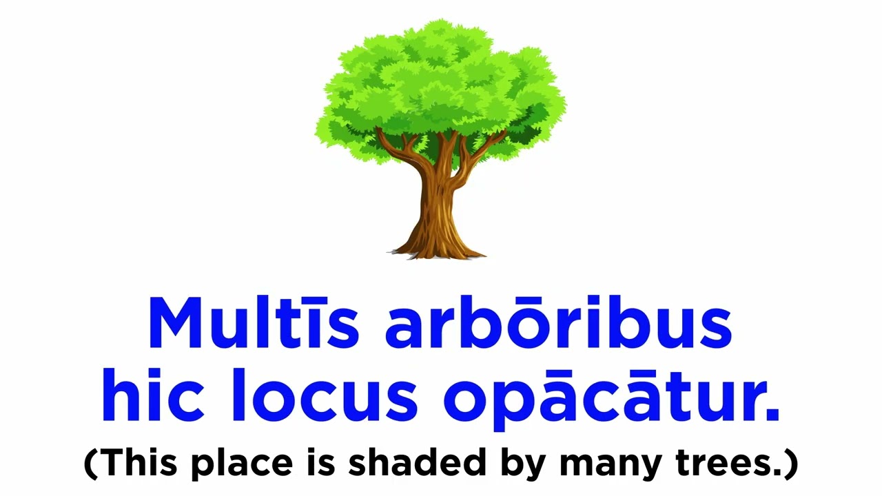 Ablative of Agent (Ablativus Auctoris)