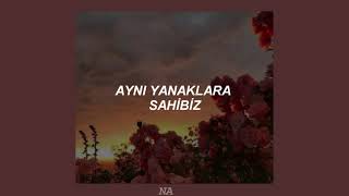 Lolo Zouaï - Desert Rose (Türkçe Çeviri)