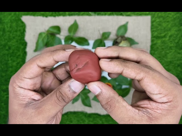 Shambhu Shankara Shiva Shila video