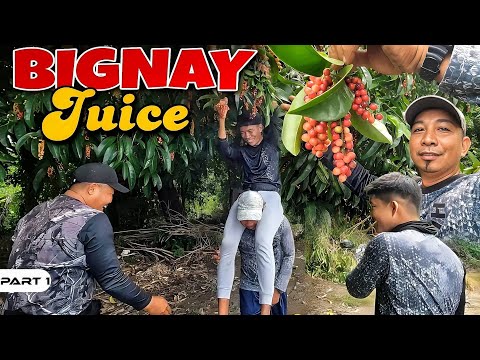 P1-Bignay Juice at Sinigang sa Bignay - EP1017
