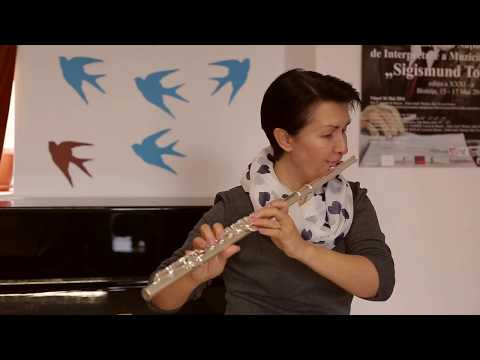 Flaut Karl Glaser Studio 111 Demo