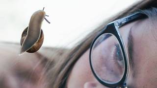 Sarah Jarosz: The Tourist (Radiohead)