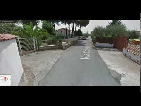 myVideoEditor 3 6 2019 111204 AM