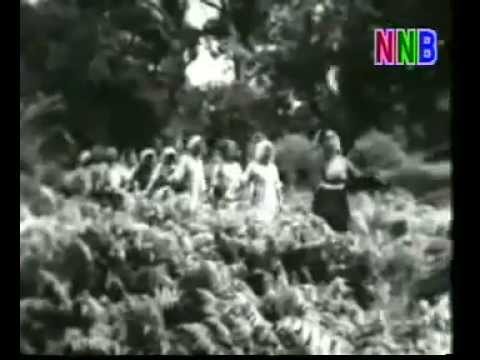 mari kita ke ladang hoiii