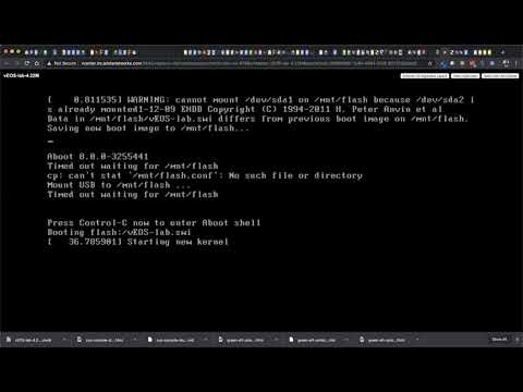 Installing vEOS-lab on ESXI