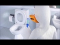 Duck Commercial 14 07 2017