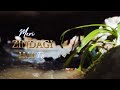 Meri Zindagi Hai Tu Full Ost Lyrics Asim Azhar Ary Digital Drama