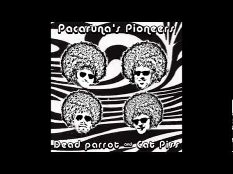 Pacaruna's Pioneers - Funky Slap
