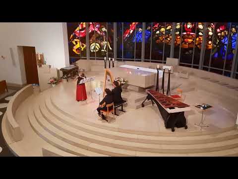 [Concert] Anne de Boysson - METAMORPHOSE played by Elisabeth Möst & Christoph Bielefeld - 1st mvmt