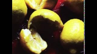 HOMOSAPIENS - Virgin Suicides