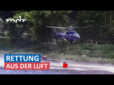Waldbrände an der Grenze zu Tschechien teilweise unter Kontrolle | MDR um Zwei | MDR