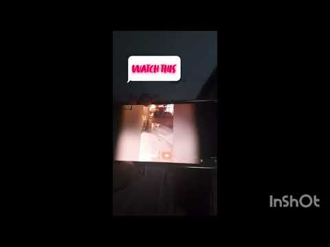 Funny cat Moments ( Level EASY) { It's Suraiya }