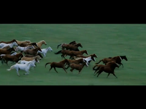 Rossini: William Tell Overture: Final with Horse Run