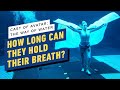 Avatar: The Way of Water - How Long Did Each Cast Member Hold Their Breath?