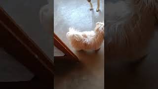 Download lagu July 17, 2022 mp3