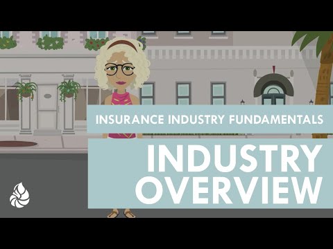 Insurance Industry Fundamentals: Nervous Nellie