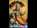 Divine Vision Lord Vishnu On Sheshnag Eternal Protector Of The Universe