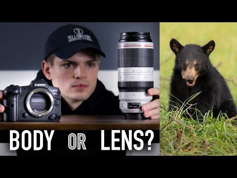 The MOST IMPORTANT Piece of Gear for Wildlife Photography