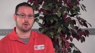 Transitions to Employment