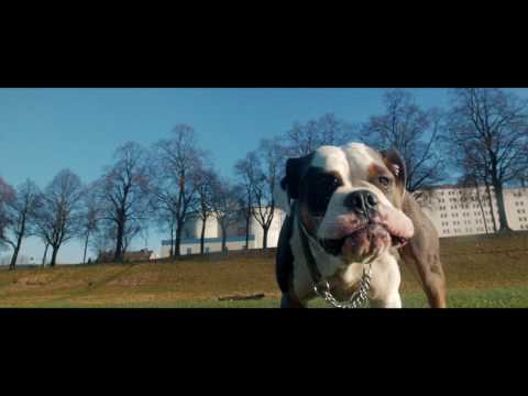 A gamer's best friend | ESL Play Commercial