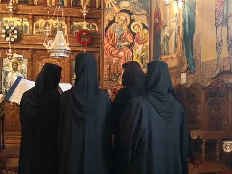 20190630 NICOLAE BALASOIU - DUMINICA A 2 A DUPA RUSALII – A SFINTILOR ROMANI – CHEMAREA PRIMILOR APO