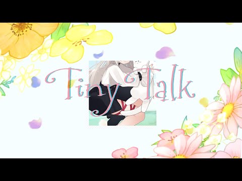 tiny talk / 猫のおなか